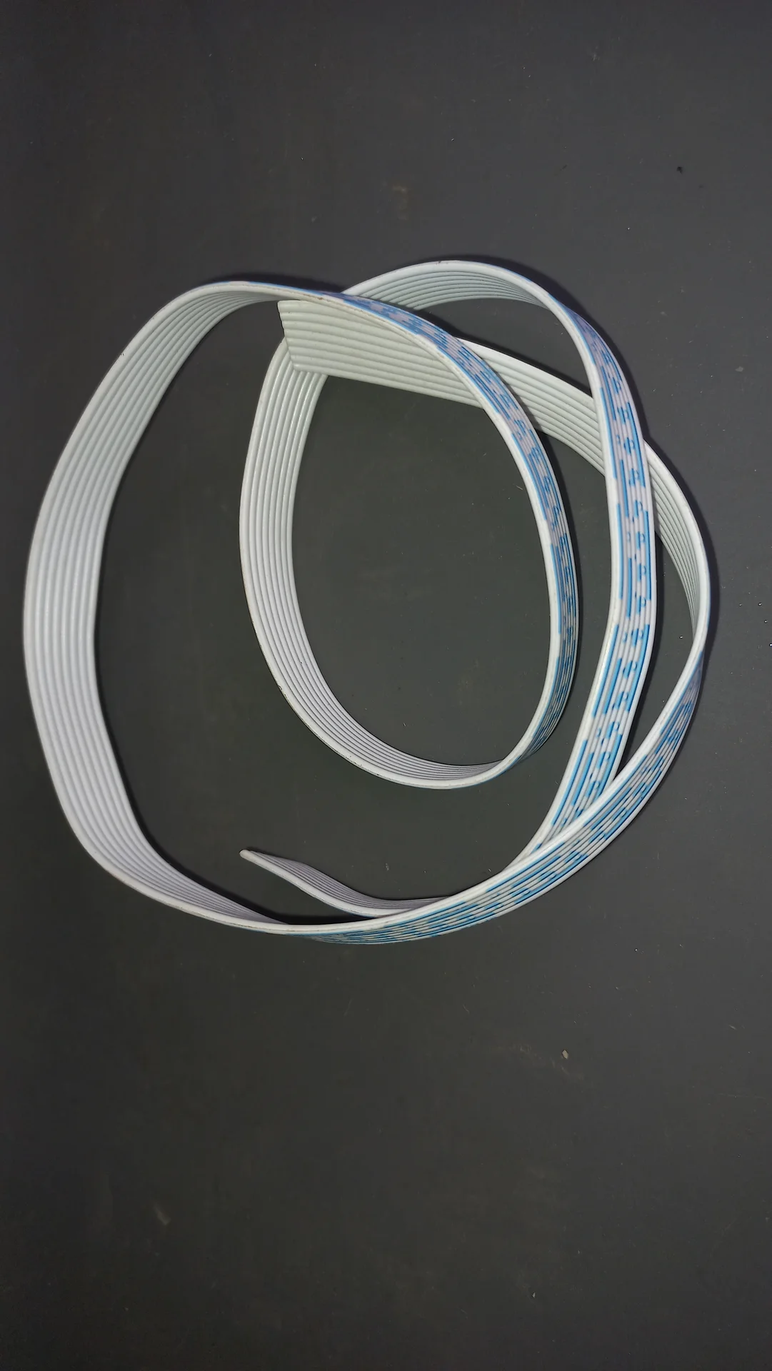 Flat ribbon cable coiled loosely, white with a blue stripe, used for internal signal wiring connections