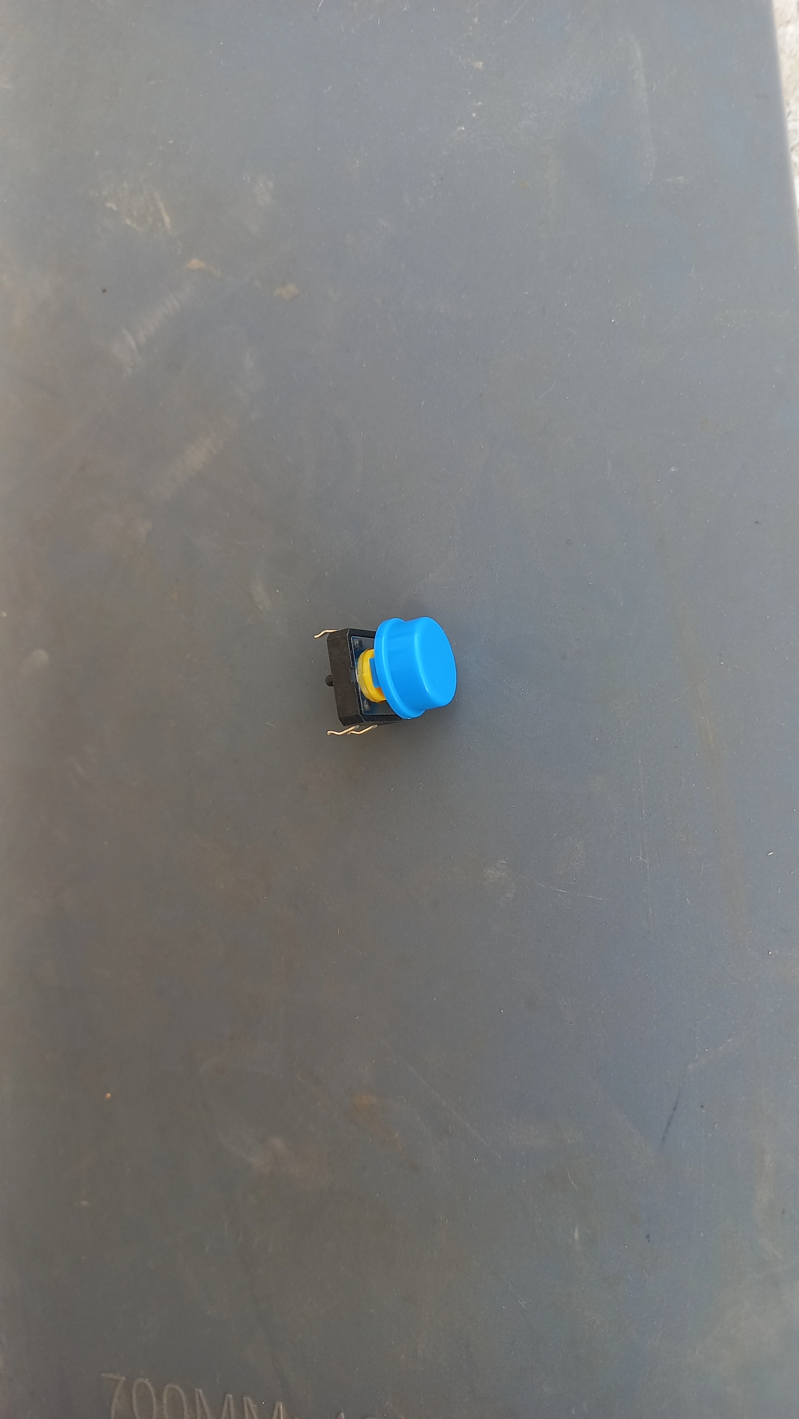Blue push button angle 2